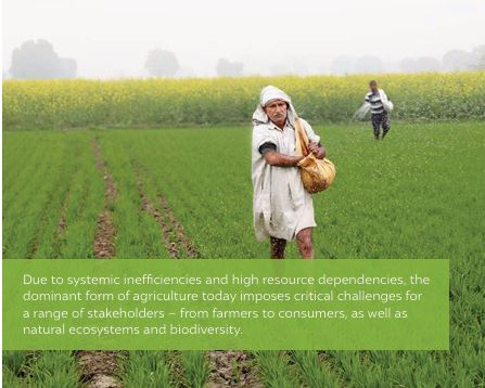 Can Zero Budget Natural Farming Save Input Costs and Fertiliser Subsidies? Evidence from Andhra Pradesh