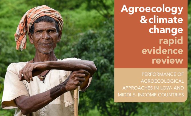 Agroecology and Climate Change rapid evidence review. Performance of Agroecological Approaches in low and middle income countries.