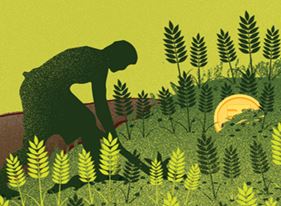 Evidence (2004–20) on Holistic Benefits of Organic and Natural Farming in India