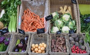 Bridging the Gap between the Agroecological Ideal and its  implementation into practice. A review