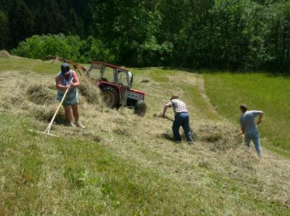 Human and Social Values in Agroecology: A Review