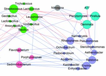 Natural Farming Improves Soil Quality and Alters Microbial Diversity in a Cabbage Field in Japan