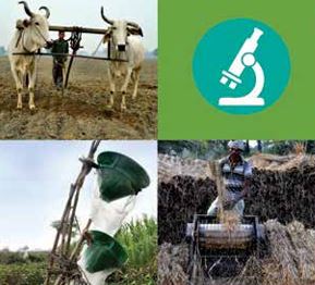 Ecological Agriculture in India: Scientific Evidence on Positive Impacts & Successes
