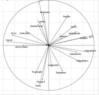 Evaluation of Millets for Physio-Chemical and Root Morphological Traits Suitable for Resilient Farming and Nutritional Security in Eastern Himalayas