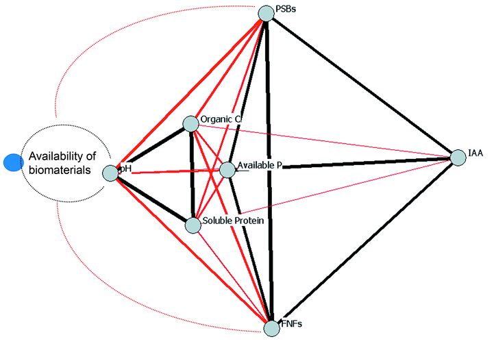 Microbiological Properties of Beejamrit, an Ancient Indian Traditional Knowledge, Uncover a Dynamic Plant-Beneficial Microbial Network