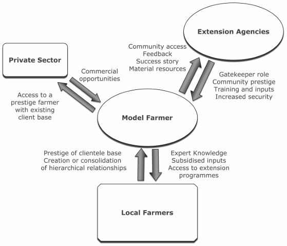 Model Farmers, Extension Networks, and the Politics of Agricultural Knowledge Transfer