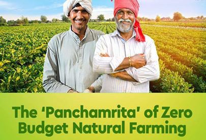 A Critical Study on the Present Status and Scope of Natural Farming in the State of Andhra Pradesh, India