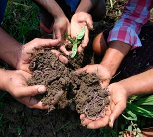 Towards Redesign at Scale Through Zero Budget Natural Farming in Andhra Pradesh, India
