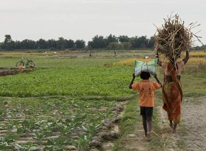 A New Paradigm for Indian Agriculture: From Agroindustry to Agroecology