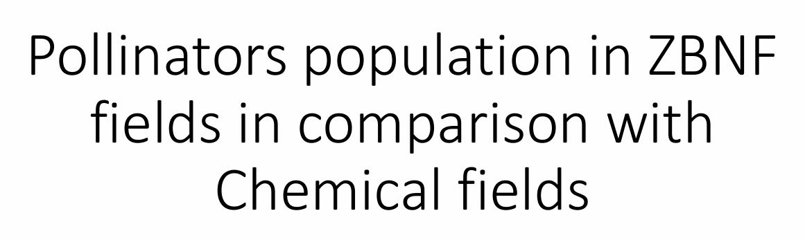 Pollinators Population in ZBNF Fields in Comparison with Chemical Fields