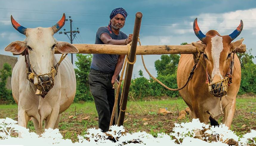Establishing Exemplar Landscapes in the Andhra Pradesh Engagement Landscape