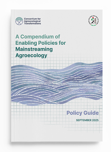 policy-guide